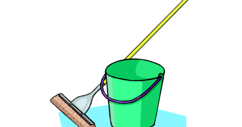 Nettoyage à Gratiolet